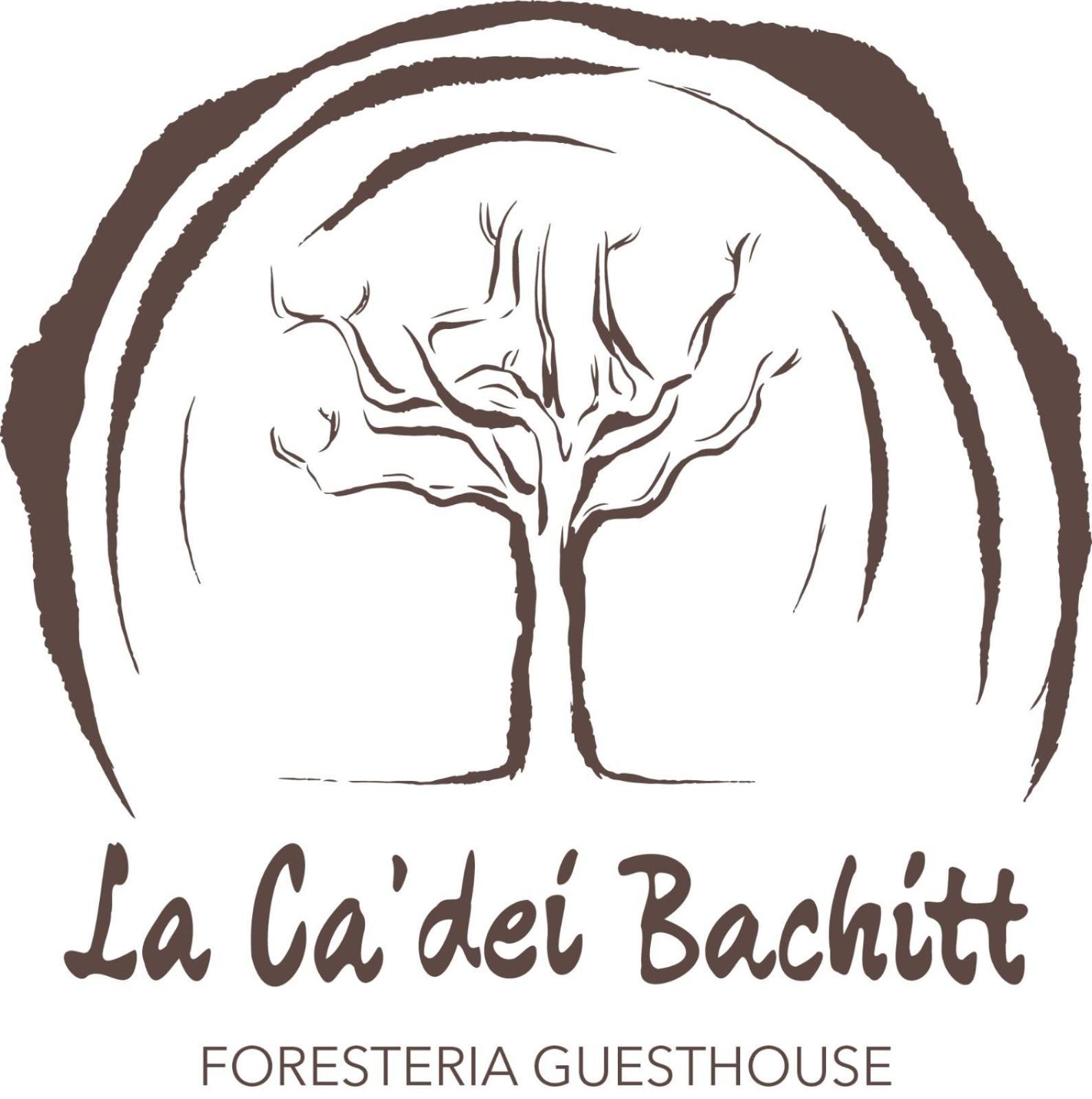 Foresteria Guesthouse Ca' Dei Bachitt Lierna Bagian luar foto